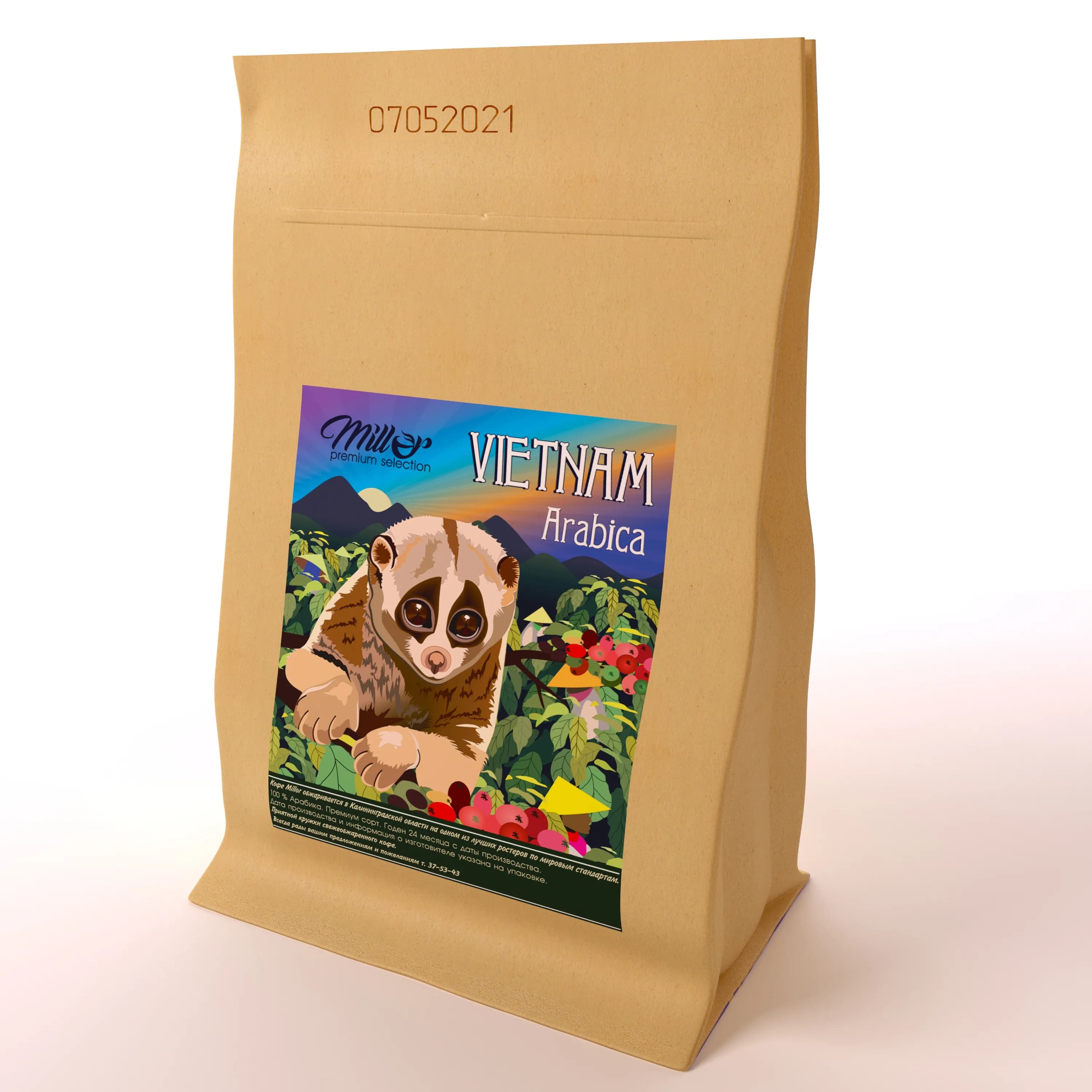 Vietnam Arabica SCR 18